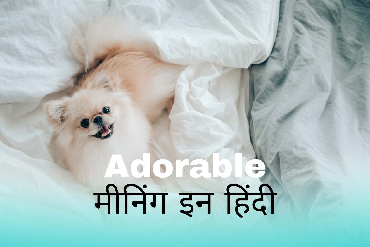 adorable-meaning-in-hindi-english-to-hindi